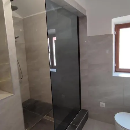 Apartman Visiani شيبينيك