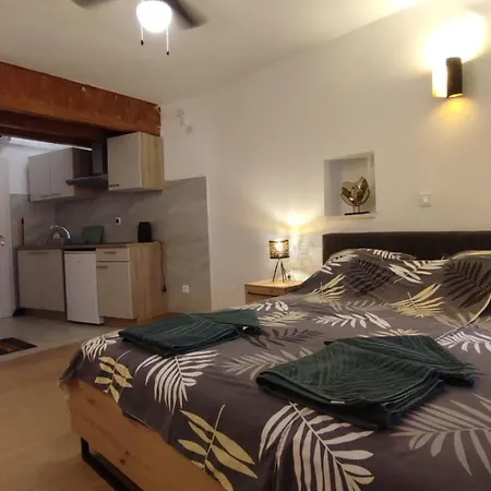Apartment Apartman Visiani Sibenik